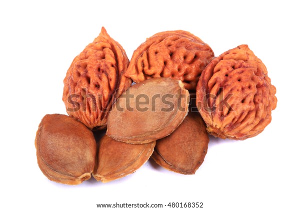 Peach Pit Apricot Stock Photo Edit Now