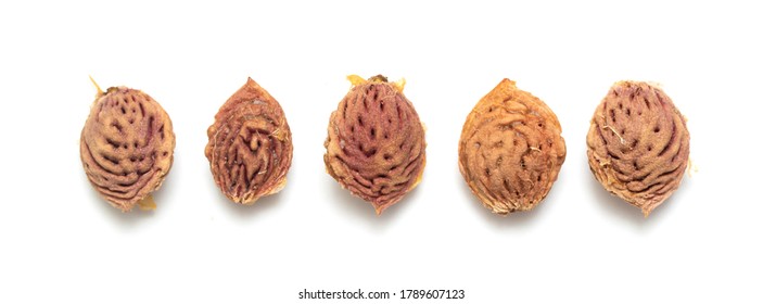 Pit Fruit Images Stock Photos Vectors Shutterstock