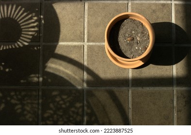 Peach Seed In A Pot With Dirt On Tile Floor With Antique Patio Furniture Silhouettes.