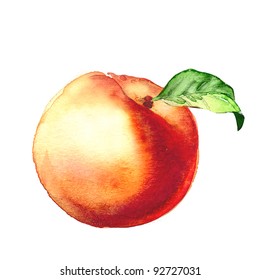 Peach. Watercolor Painting On White Background