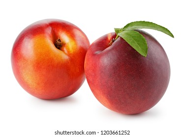 single fruit images stock photos vectors shutterstock