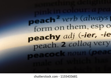 Passim Word Dictionary Passim Concept Stock Photo 1154824963 | Shutterstock