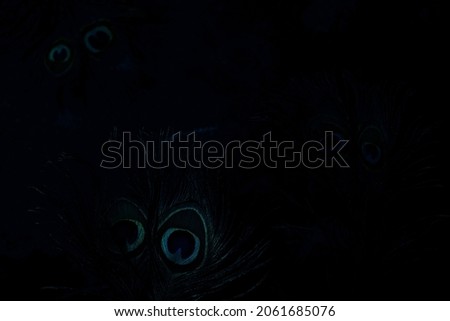 Peacock feather in the dark look like strange creatures eye (Mugwai) in the forest.