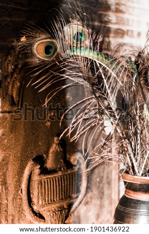 Peacock feather in a fireplace