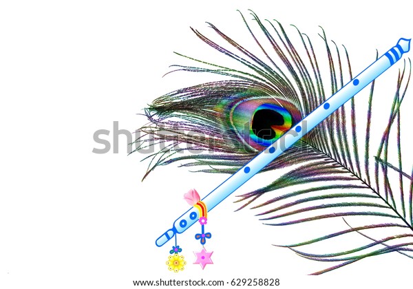 Peacock Feather Flute Over White Background Stock Photo (Edit Now