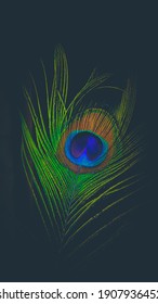peacock feather in frame. clicked on iphone 11. background is black and edited in lightroom app.