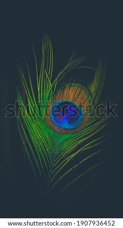 peacock feather in frame. clicked on smart . background is black and edited in lightroom app.