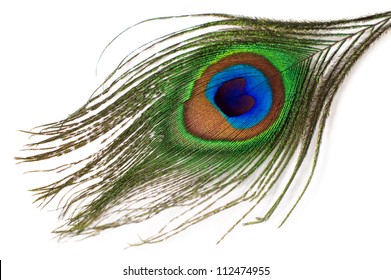 Peacock Feather Isolated On A White Background