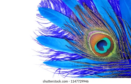 37,895 Carnival feather background Images, Stock Photos & Vectors