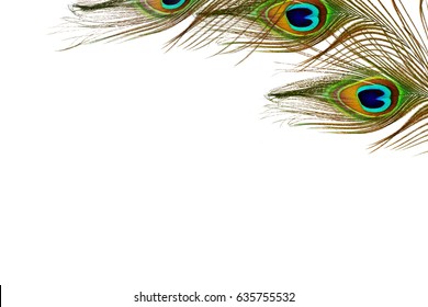 Peacock Feather Texture White Background Text Stock Photo 635755532 ...