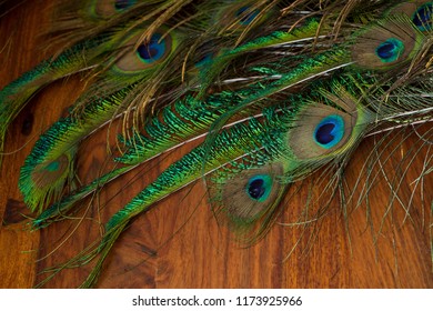 Similar Images, Stock Photos & Vectors of peacock feather and bamboo