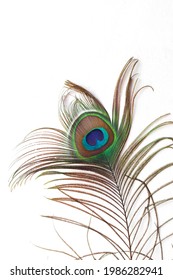 Peacock Feathers Close On White Soft Stock Photo 1014562669 | Shutterstock