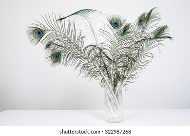 Feather In Vase Images Stock Photos Vectors Shutterstock