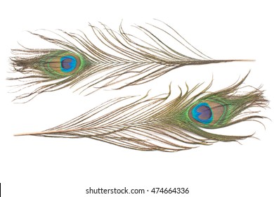 39,645 Peacock feather isolated Images, Stock Photos & Vectors ...
