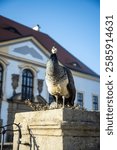 Peacock in the park of Decin castle. This photo has been taken in Decin, Czech Republic, January 2025