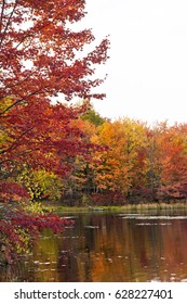 Peak Autumn Colors On Lake At Gouldsboro State Park In Pennsylvania