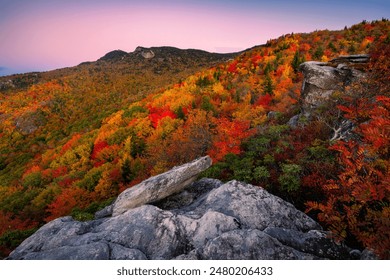 Peak autumn foliage and soft predawn light over the blue ridge mountains of North Carolina - Powered by Shutterstock