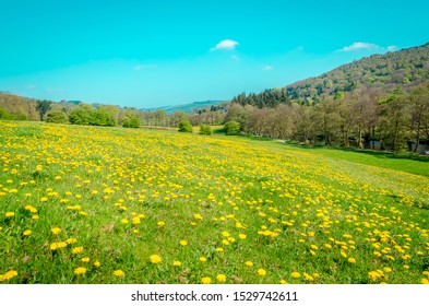 Peak District During The Bank Holiday Weekend In The UK During The First Summer 