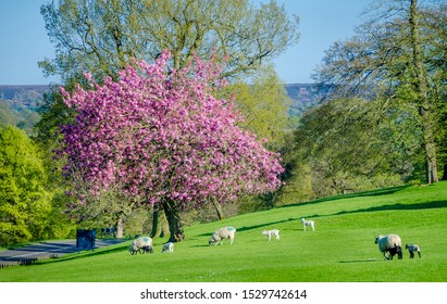 Peak District During The Bank Holiday Weekend In The UK During The First Summer 