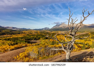 Peak Fall Color At Marias Pass In Glacier National Park, Montana, USA