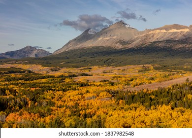 Peak Fall Color At Marias Pass In Glacier National Park, Montana, USA