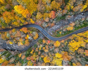 Peak Fall Foliage In Asheville, North Carolina. Autumn Colors Red, Yellow, And Orange. East Coast Drone Aerial View