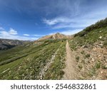 Peak wildflower season hiking Gray