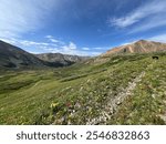 Peak wildflower season hiking Gray