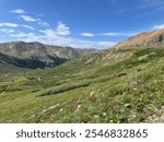 Peak wildflower season hiking Gray