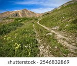 Peak wildflower season hiking Gray