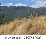 The peaks of the East Bay hills from the trails at Pleasanton Ridge, California