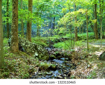 Peaks Of Otter Creek