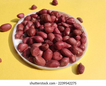 peanut, (Arachis hypogaea), also called groundnut, earthnut, or goober, grown for its edible seeds over a white small container in yellow background.