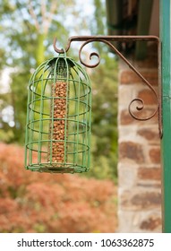 Peanut Bird Feeder With A Squirrel Proof Cage In A Country Cottage Garden In Rural Devon, England, UK