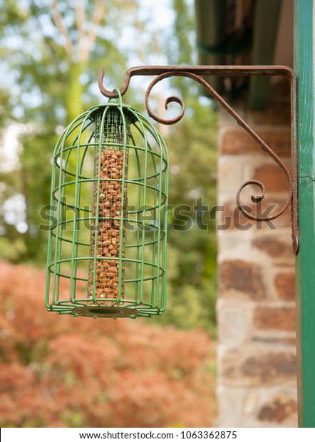 Peanut Bird Feeder Squirrel Proof Cage Stock Photo Edit Now