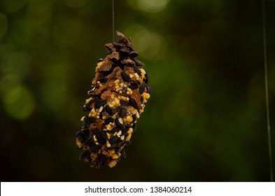 Peanut Butter And Birdseed Pinecones DIY Project With Kids