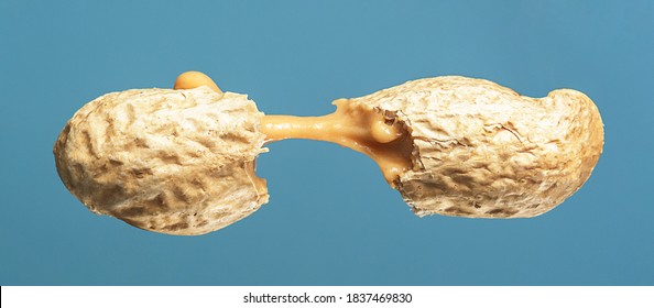 Peanut Butter Flows Out Of The Broken Peanuts On A Blue Background.