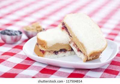 Peanut Butter And Jelly Sandwich