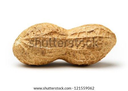 Peanut isolated on white background close up