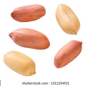 Peanut Kernels Isolated