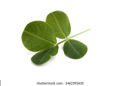 Peanut Leaf On White Background