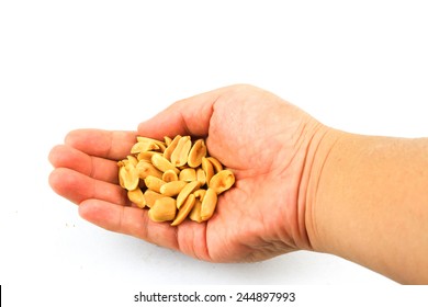 Peanut In Man Palm Isolated On White Background