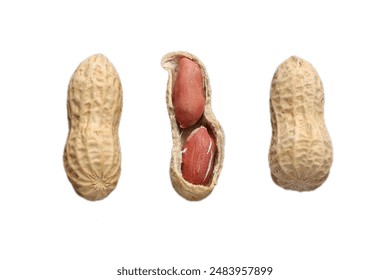 Peanut nuts isolated, peanut seeds isolate, white background, peanut nut isolated on white