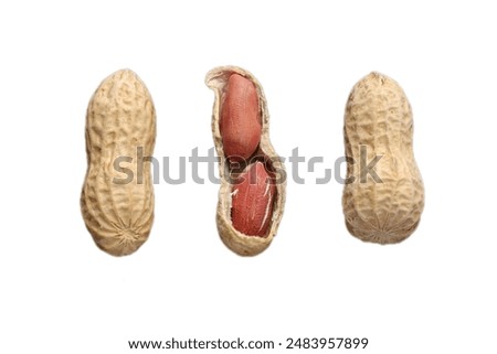 Peanut nuts isolated, peanut seeds isolate, white background, peanut nut isolated on white