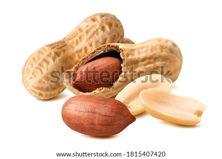 Peanut nuts with shells isolated on white background. Package design element with clipping path