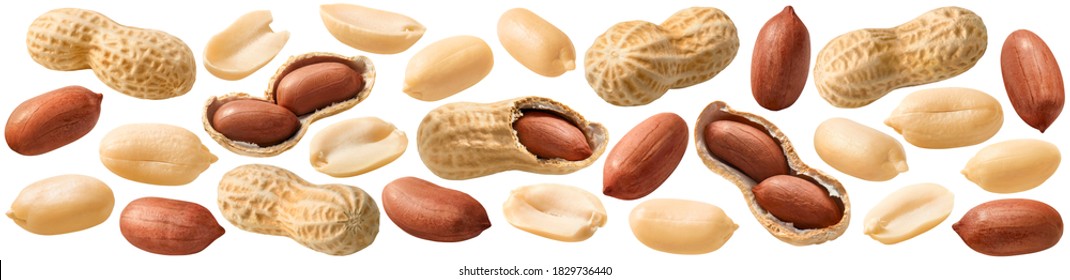 Peanut set isolated on white background. Whole and shelled groundnuts. Package design element with clipping path