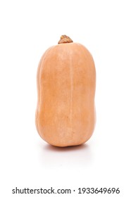 Peanut Squash On White Background