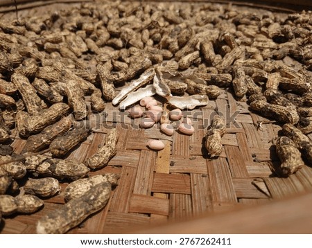Peanuts (Arachis hypogaea) are a highly nutritious food and are often used as a symbol of Earth Day celebrations, where they are consumed as a product of the earth. This plant is environmentally friendly because it can fix nitrogen, supporting a sustainable plant-based diet.