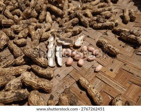 Peanuts (Arachis hypogaea) are a highly nutritious food and are often used as a symbol of Earth Day celebrations, where they are consumed as a product of the earth. This plant is environmentally friendly because it can fix nitrogen, supporting a sustainable plant-based diet.