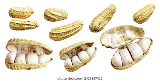 Peanuts isolated with clipping path, no shadow in white background, cooking ingredient, healthy food